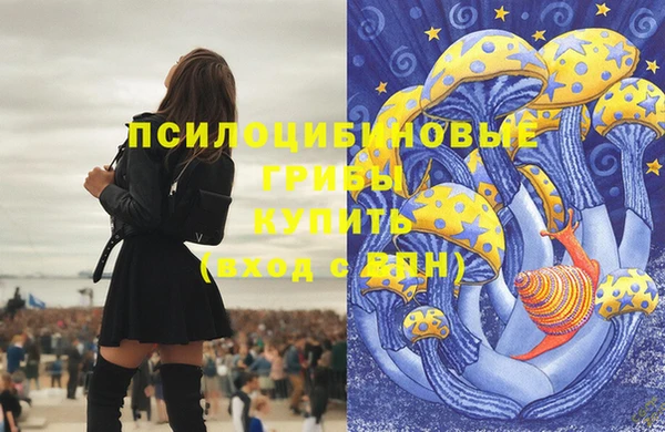 a pvp Верея