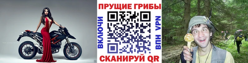 купить наркотики цена гидра ТОР Галлюциногенные грибы Psilocybe Кемь